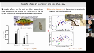 Ignoring parasites in ecotoxicological studies, a mistake?