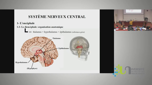 Visio neuro 27 fev 24.mp4