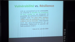 Colloque Penser et faire la résilience. Risques et territoires - Résilience, risque et crise - rex (2/3)