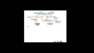 Cours chapitre II.6 vidéo 3