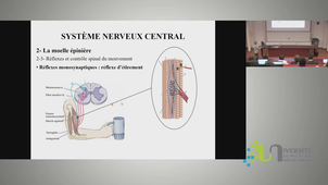 Visio neuro 5 mars24.mp4