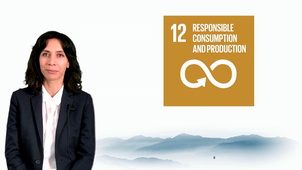 Sustainable development WP7