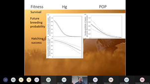 Population-level responses to chemical pollution in polar seabirds - Aurélie Goutte (EPHE)