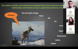 Ecological drivers of the contamination of marine organisms - Jérôme Fort (CNRS, LIENSs La Rochelle)