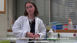 Bioindicateurs microbiens et trophiques de l'état écologique de l'écosystème en zone côtière du SUDOE par T. Labernaire et P. del Rio Pascual