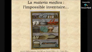 Être médecin au Moyen Âge : maladies, malades et remèdes (partie 2)