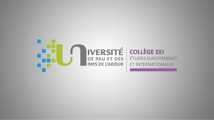 MICL - PIERRE MARIN - Évaluation finale