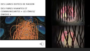 BD & Environnement n°1 - conférence de Patrice Ballester