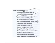 MANUEL CHAP. XVII, texte 11