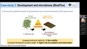 Wildlife ecotoxicology in aquatic ecosystems