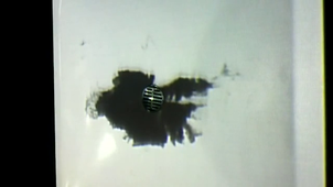 Óscar Muñoz 5 biografías-vídeos #3