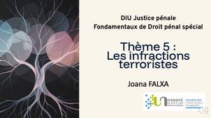 DIU JP - JF - Thème-5-Les-infractions-terroristes-art-421-1-s-CP