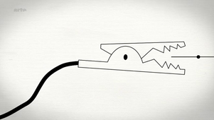 Les écrevisses aussi peuvet être anxieuses