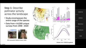 Putting the 'eco' into ecotoxicology: Effects of neonicotinoids on non-target insects from field to landscape