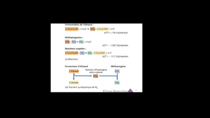Cours Microbio L2 Chapitre II.4 partie 2