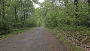 2 Bastard Accueil Public.mp4