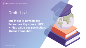 Module 2 - IRPP - Plus-value des particuliers (biens immeubles)