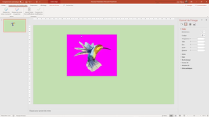 PowerPoint_10 Supprimer arriere plan des images