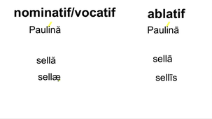 MANUEL Chap.I - texte 1 expliqué (2e partie)