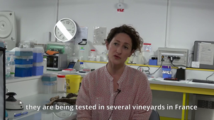 La maladie de l'ESCA par Juliette CANTEGRIT, Louna-Lyn GARCIA et Marilou YVANEZ