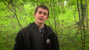 4 Bastard Course Orientation.mp4