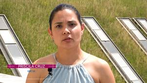 Ecoles d'été 2021 -  Priscila Cruz