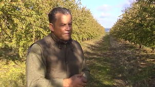 La agricultura de la conservación