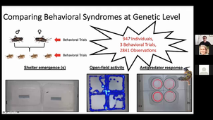 Accounting for Individual Variation in Ecotoxicology: A Behavioral Ecologist's Perspective