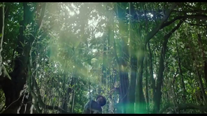 ALTAMIRA TRILER PELICULA