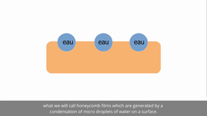 Bio-inspired materials: structural color Robin Latapie & Justine do Rosario