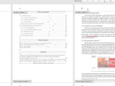 Gestion de Sections dans un Document Long