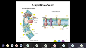 Séance de révisions avant contrôle continu