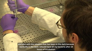 Polymère et Rose Bengal, une solide association ! par Tristan Broux et Julien Piéfort