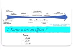Intro Pq droit des affaires