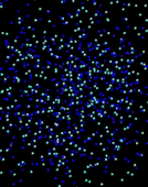 Simulation de la fonte du sel NaCl