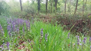 6 Bastard Biodiversite et Eau.mp4