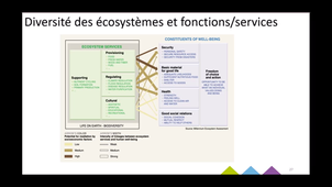 UE changements globaux: Biodiversité partie 4