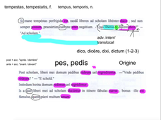 MANUEL CHAP. IV, texte 7