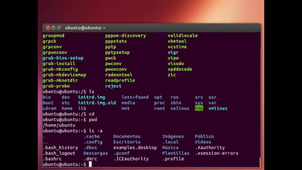 2_Organizar Sistemas de Archivos Linux