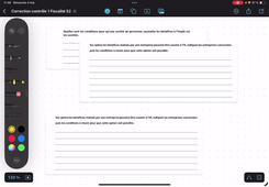 Imposition des bénéfices sur option