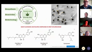 Hemp in Green Economy, the thousand uses of Cannabis and… no waste