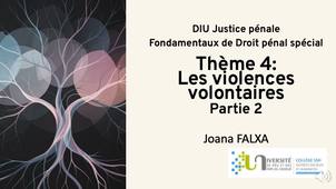DIU JP - JF - Theme-4-Les-violences-volontaires_P2