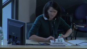 DIALOGUES FRANCE-BRESIL - Le brésil vu de France : Imaginaires en voyage