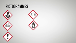 IPREM security - version anglaise