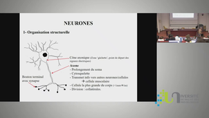 Neuro/bioméca 23jan24