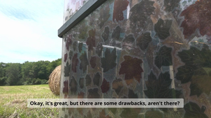 Enquête sur les panneaux photovoltaiques organiques par Leonie Lavarec, Camélia Méziane et Chloé Sestiaa