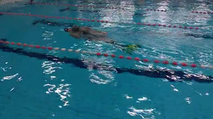 BNSSA EPREUVE 250m Palmes Masque Tuba avec remorquage 50m