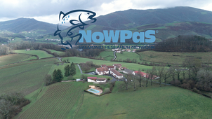 NowPas 2022 - Salmonid Research Network - Basque Country Edition