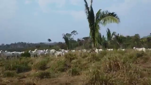 BIODIVERSIDAD CORALES