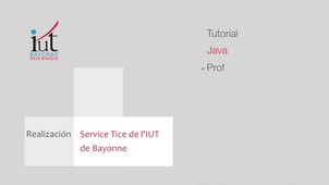 9.3 Interfaz con checkbox